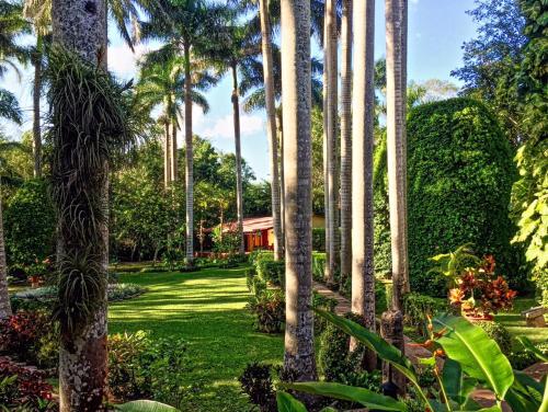een tuin met palmbomen en een huis bij Hacienda Chichen Resort and Yaxkin Spa in Chichén-Itzá