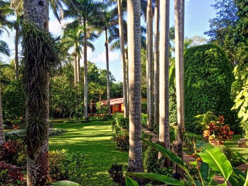 Zahrada ubytování Hacienda Chichen Resort and Yaxkin Spa
