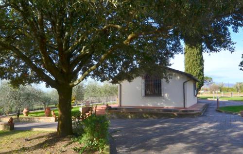 Gambar di galeri bagi 3 Bedroom Pet Friendly Home In Arezzo di Arezzo