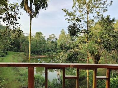 Landskap semula jadi dekat dengan vila ini