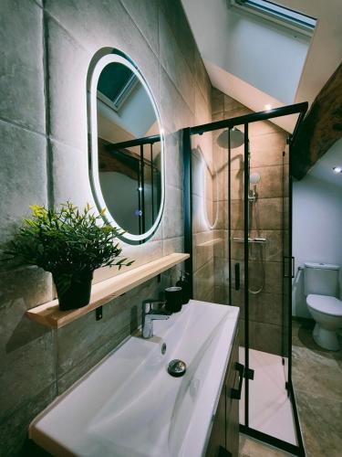 a bathroom with a sink and a mirror at Maisonnette de prestige au cœur des vignes in Couchey
