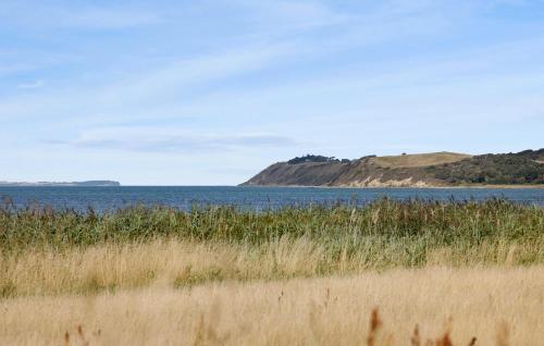 a view of a body of water with a hill at Amazing Home In Føllenslev With Wifi in Føllenslev