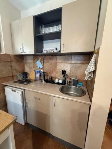 una pequeña cocina con fregadero y lavavajillas en Studio 75 meters to the sea, en Rafailovici