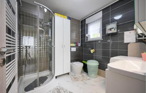 a bathroom with a shower and a toilet and a sink at Cozy Home In Martinkovec With Wifi in Varaždinske Toplice