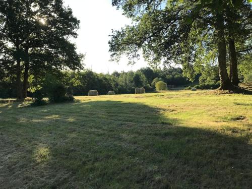 Φωτογραφία από το άλμπουμ του Maison de la Gentinière σε Mareuil-sur-Cher