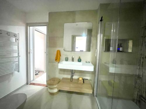 a bathroom with a sink and a shower at Appartement T3 Place du Marché in Bastia