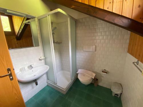 a bathroom with a sink and a shower and a toilet at TEA San Pellegrino - DOLOMITI in Falcade
