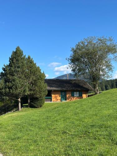 a house on a hill with trees and a field at Haus Otis in Bad Mitterndorf