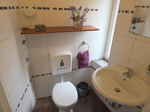 a small bathroom with a toilet and a sink at Gäste- und Ferienwohnung Böllstorf in Osterburg