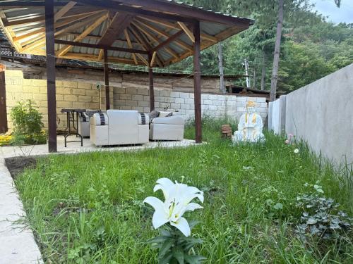 Un jardín con una flor blanca en el césped. en Sompal Serviced Apartment, en Paro