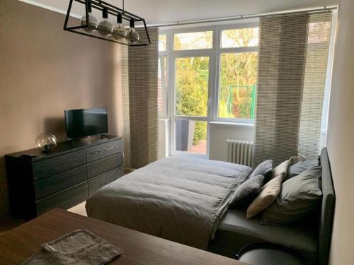 a bedroom with a bed and a tv and a window at Jannete in Jundrov