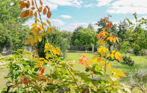 a view of a garden with trees and a field at Jolie Maison Proche Rivière in Jaulgonne