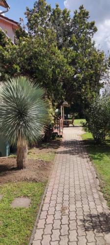 a brick pathway with a palm tree in a park at Mediterran Garden Lil Apartment in Vecsés
