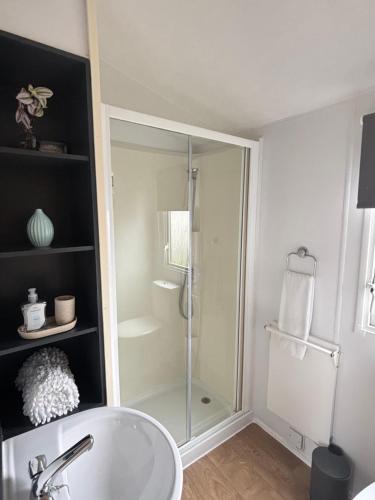 a bathroom with a shower and a white sink at Padstow Holiday Base Bright Two Bedroom Lodge at Seven Bays in Saint Merryn