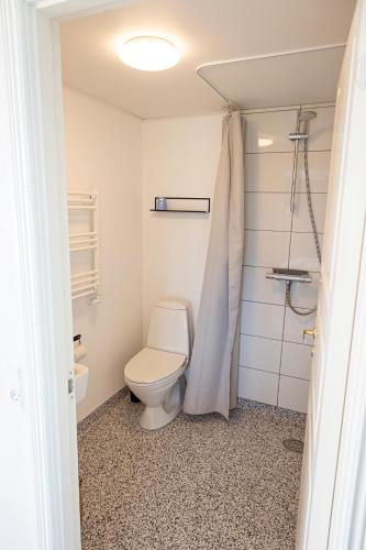 a bathroom with a toilet and a shower at Kallehavegaard Vinterværelse uden morgenmad in Løkken