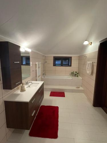 a bathroom with a sink and a bath tub at Le Bon Choix in Tohani
