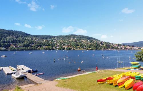 a bunch of boats on a lake with a group of people at Gorgeous Apartment In Gérardmer With Wifi in Gérardmer