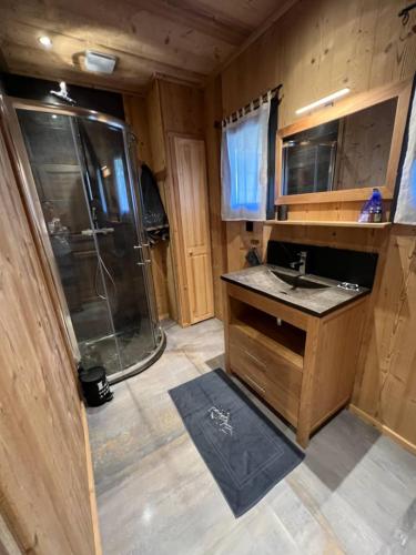 a small bathroom with a shower and a sink at Chalet cosy Spa & Sauna privatifs Les Angles in Les Angles