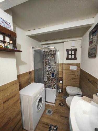 a bathroom with a washing machine and a toilet at Alpina Loft in Sauze d'Oulx in Sauze dʼOulx