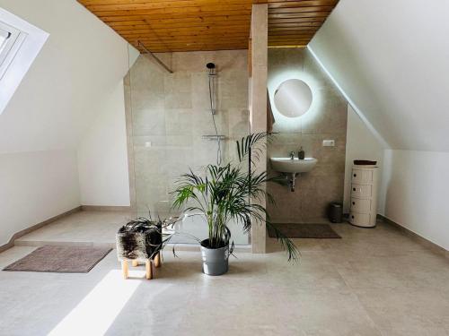 a bathroom with a shower and a sink and a plant at Sehr gut ausgestattetes Einfamilienhaus in Hochspeyer