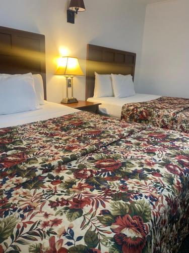 a hotel room with two beds and a lamp at Barberry Court Motel &Cabins in Lake George