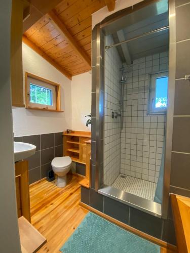 a bathroom with a shower with a toilet and a sink at Ferienhaus im Grünen mit Weitblick in Gersheim