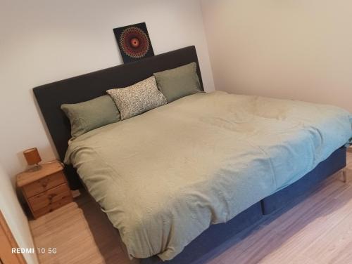 a bed in a bedroom with a large bed sidx sidx sidx at Poschiavo centro in Poschiavo