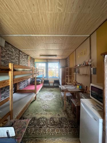 Chatka Nová Živohošť