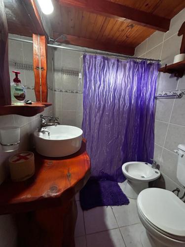 a bathroom with a sink and a purple shower curtain at Complejo Peuma Hue in Lago Puelo