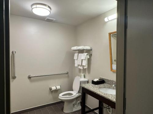 a bathroom with a toilet and a sink at Wingate by Wyndham Bel Air I-95 Exit 77A - APG Area in Edgewood