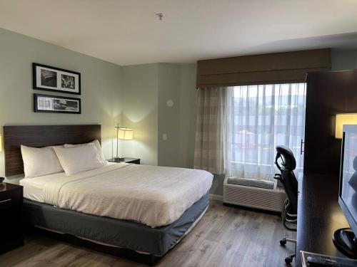 a hotel room with a bed and a window at Wingate by Wyndham Bel Air I-95 Exit 77A - APG Area in Edgewood