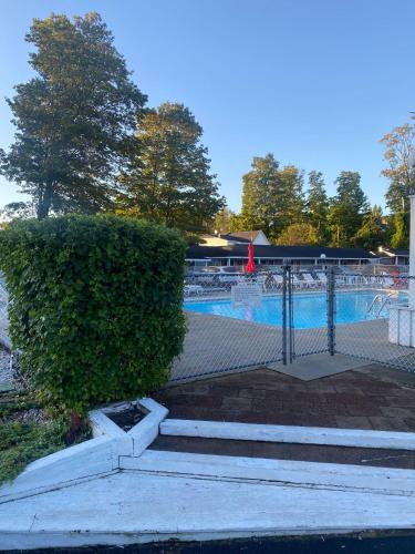 a hedge in front of a swimming pool at Barberry Court Motel &Cabins in Lake George