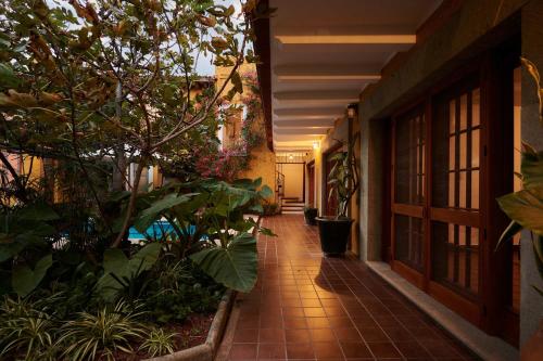 O grădină în afara Casa Dos Parques Pool Garden Design Location