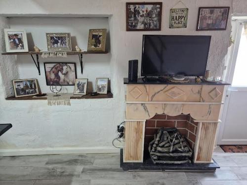 a living room with a television and a fireplace at Casa Luisa Casquinha in Vila Franca de Xira