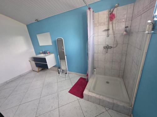 a bathroom with a shower and a sink at Chez Josie et Julien in Sainte-Rose