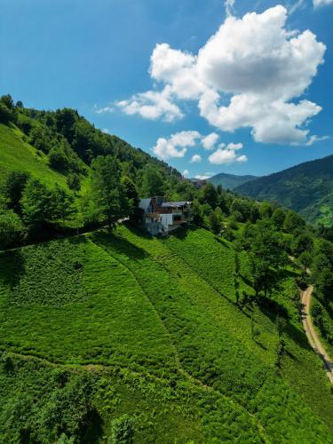 Příroda nedaleko apartmánu