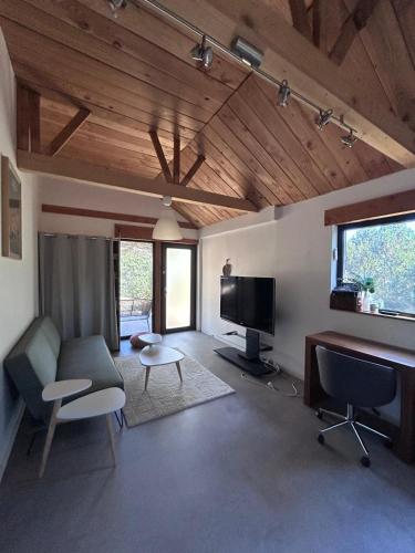 a living room with a television and a couch and chairs at Le Chalet des Iris in Saint-Maurice-de-Gourdans