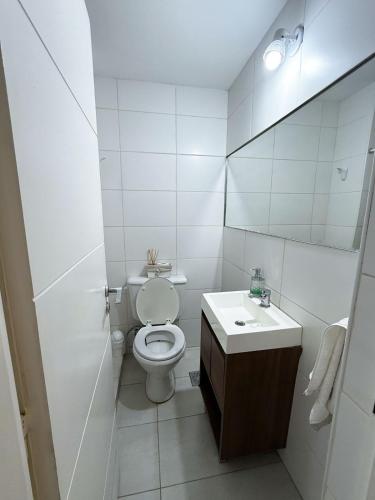a white bathroom with a toilet and a sink at Departamento El Olivo con cochera in Santa Rosa