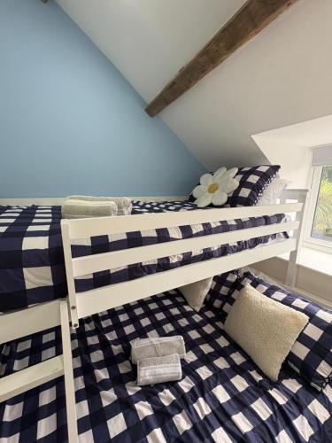 a bedroom with two bunk beds in a room at Pauls Place in Brynsiencyn