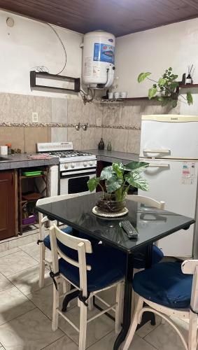 a kitchen with a table with a potted plant on it at Antonia in San Nicolás de los Arroyos