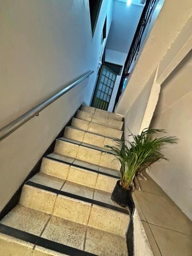 Φωτογραφία από το άλμπουμ του Hotel C Villa Plaza San Gil σε San Gil