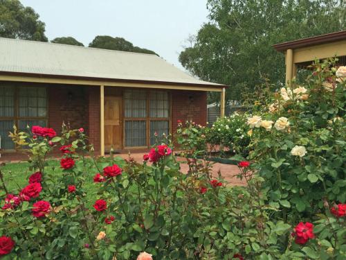 Zahrada ubytování Coonawarra Place Motor Inn