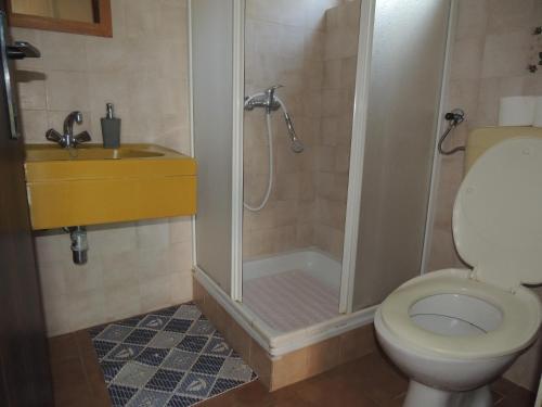 a bathroom with a shower and a toilet and a sink at CROSurf Apartments Pelješac Kučište in Kučište