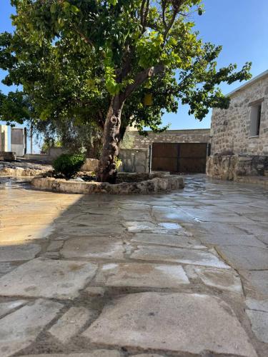 a tree sitting in the middle of a stone road at cozy house with indoor fireplace in Marathounda