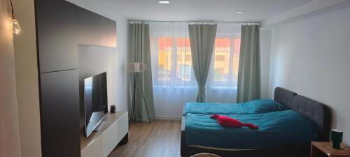 TV a/nebo společenská místnost v ubytování Apartmán Na náměstí