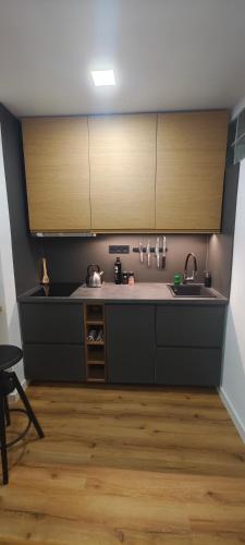 Kuchyň nebo kuchyňský kout v ubytování Apartmán Na náměstí