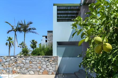 a house with a stone wall and palm trees at The Noverian Scenic Crete 5 Star Hilltop Villa Resort & Spa in Malia