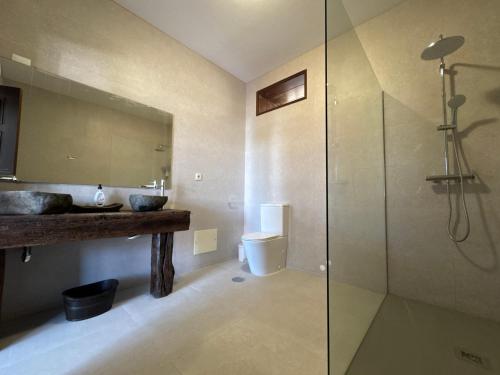 a bathroom with a sink and a glass shower at Quinta dos Silvas in Santa Maria da Feira