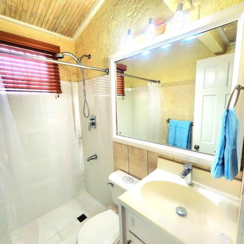 a bathroom with a sink and a toilet and a mirror at CoralStone Escape near beach and airport with private garden in Christ Church