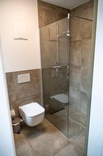 a bathroom with a toilet and a glass shower at Triebenstein Hideaway in Hohentauern